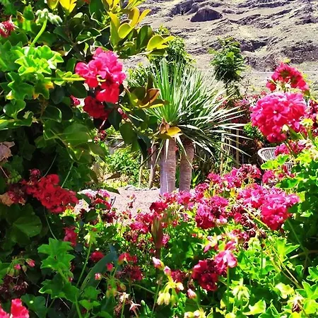Casa Vista Caldera Holiday home *